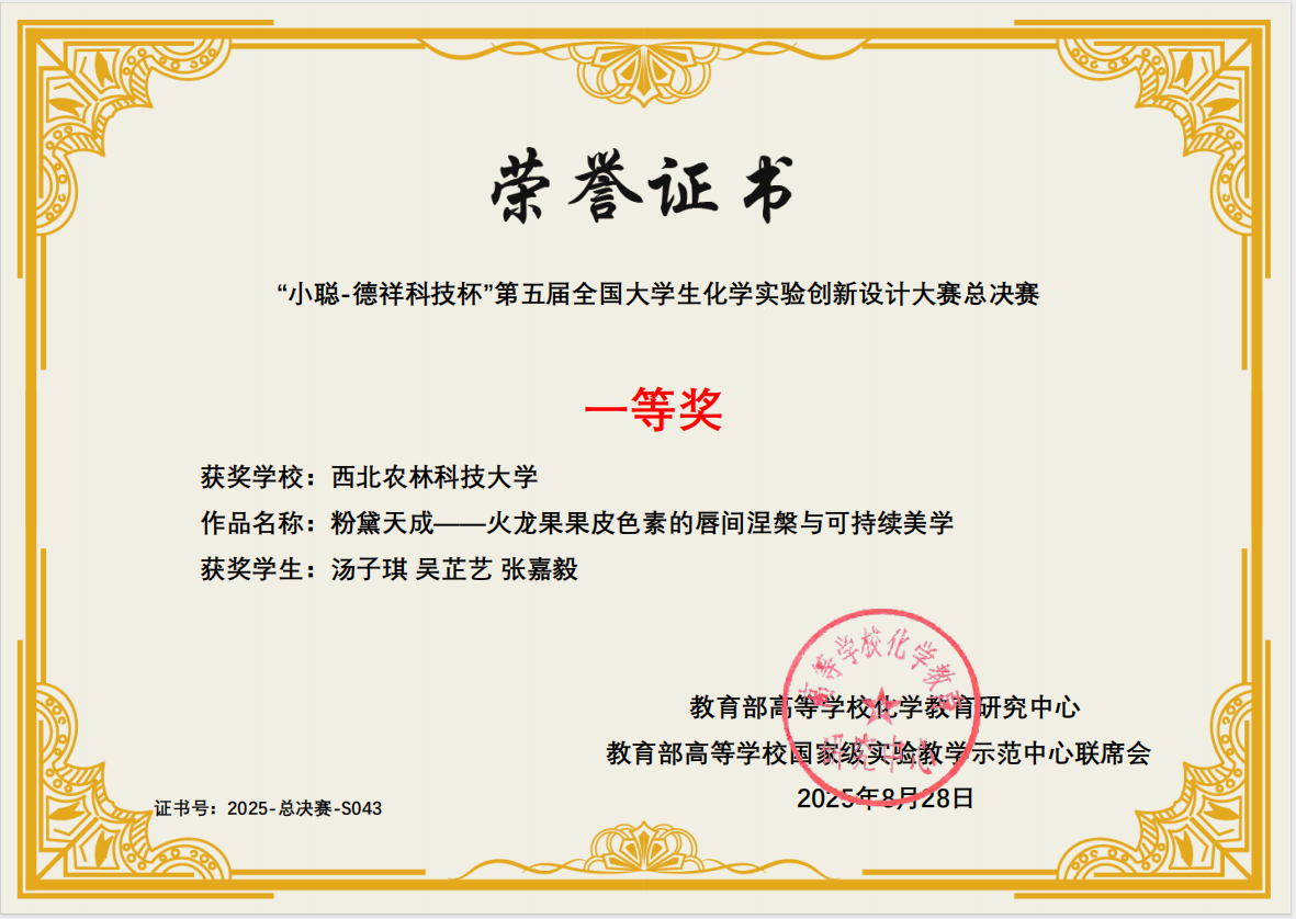 一等奖.png